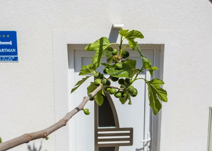 Trava Just A Few Steps From The Seaside Appartement