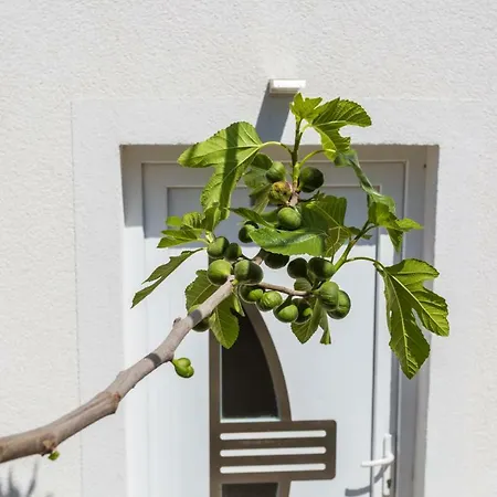 Trava Apartmán